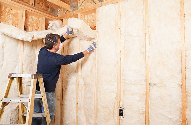 Professional Insulation Services in Cienegas Terrace, TX